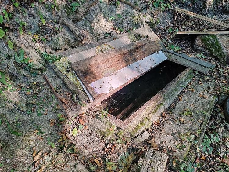 Teren de 10000 mp, în Poiana Mărului