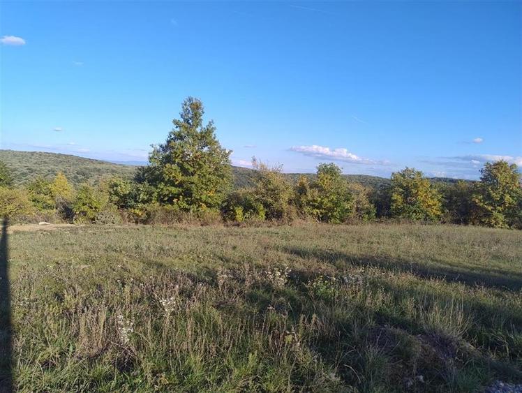 Teren Construcții intravilan de 534 mp, în Săldăbagiu de Munte