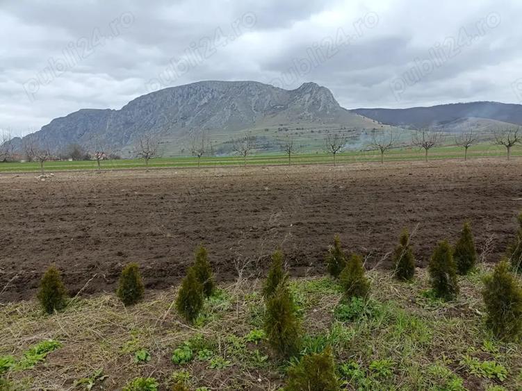 Teren de 1200 mp, în Colțești