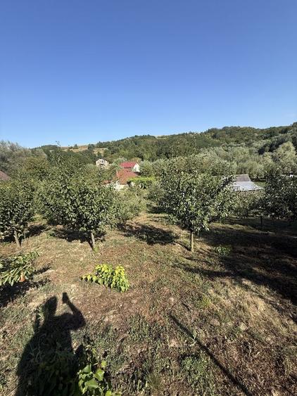 Casă cu 4 camere în Traian