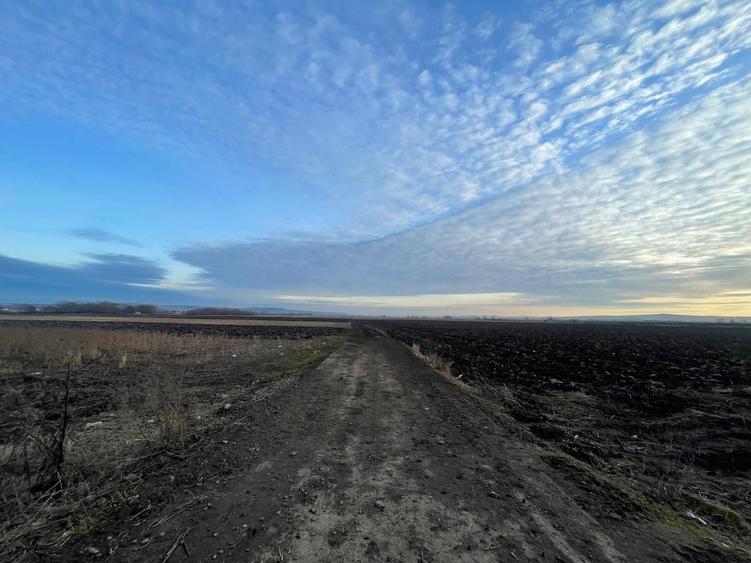 Teren agricol extravilan de 8200 mp, în Periferie