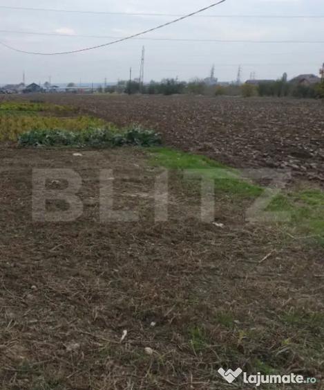 Teren extravilan, Isalnita, 13m deschidere, 3000mp - 1
