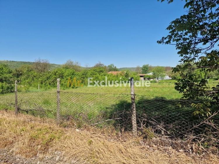 Teren Construcții intravilan de 1688 mp, în Călinești
