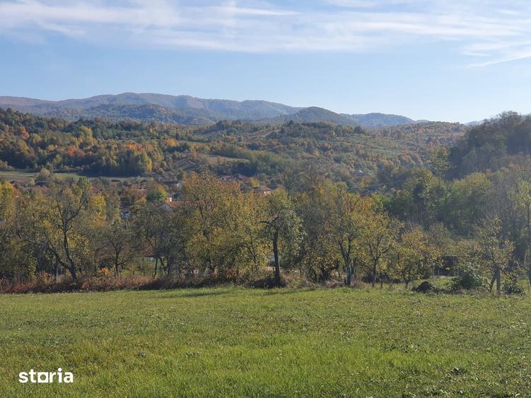 Teren de 3040 mp, în Tomești