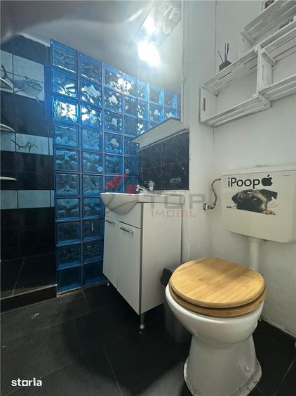Inchiriere Apartament cu 2 camere Decomandat Podu Ros Pet Friendly - 11