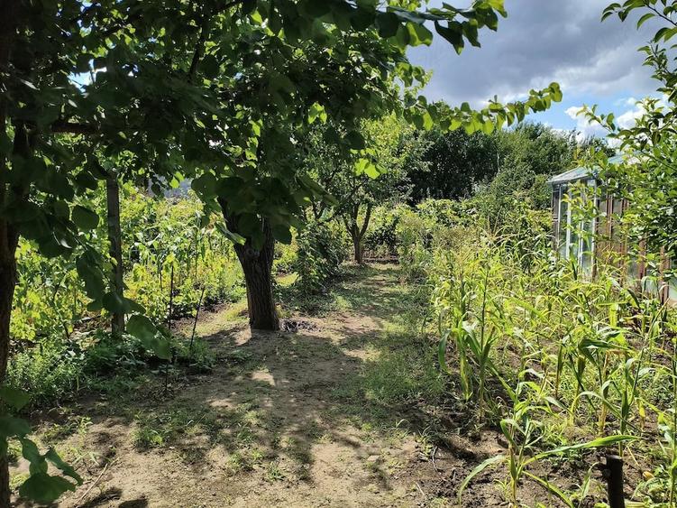 Casă cu 3 camere cu Teren 1000 Mp în Limanu