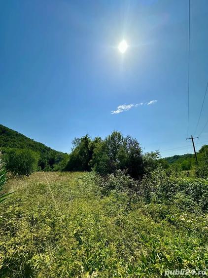 Teren de 2900 mp, în Zam