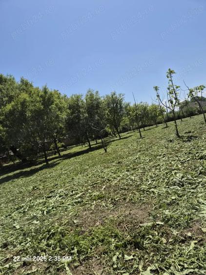 Teren de 1500 mp, în Sălcioara
