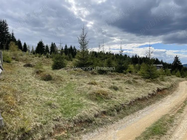 Teren intravilan Dorna Arini ( Cozanesti)
