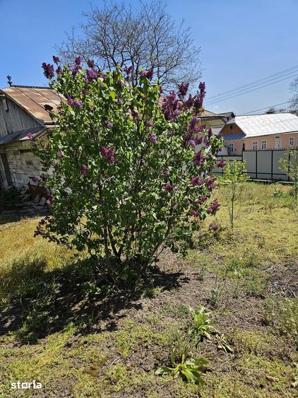 Casă cu 3 camere cu Teren 2500 Mp în Bosanci