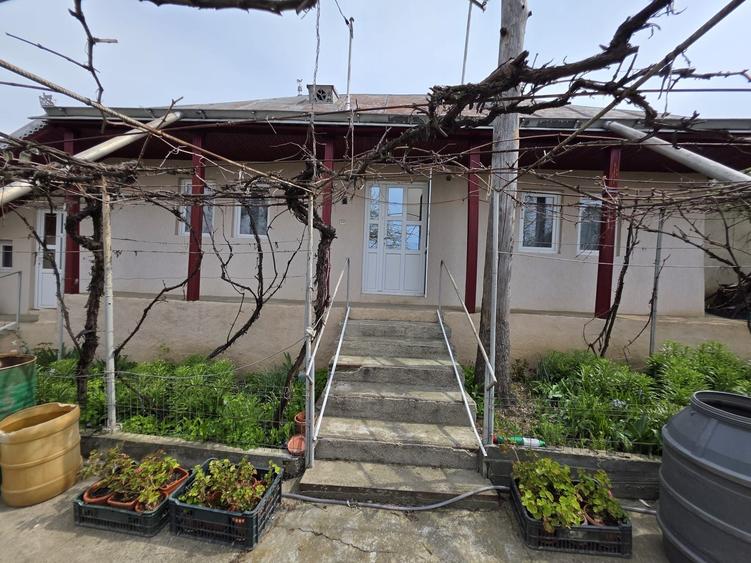 Casă cu 3 camere în Secuieni