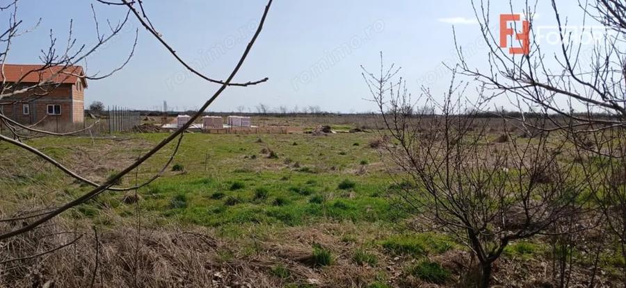 Teren de 798 mp, în Peciu Nou