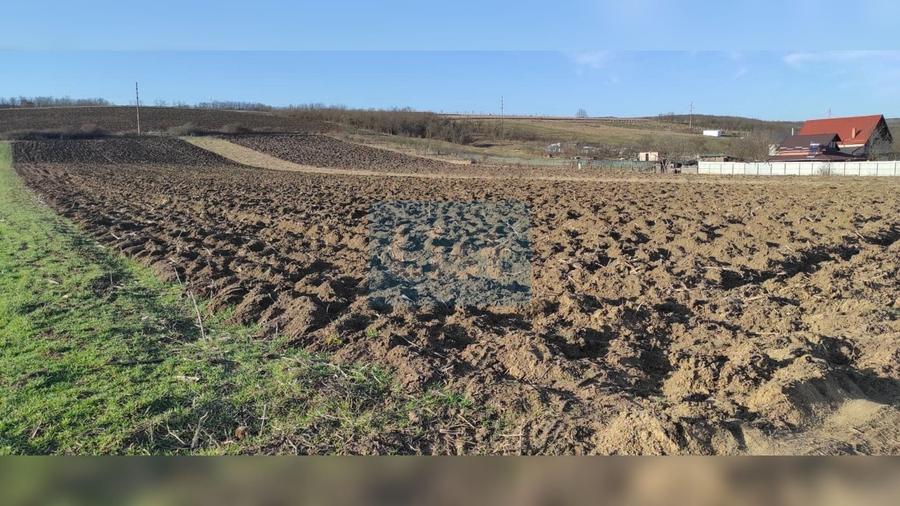 Teren de 7800 mp, în Livada (Iclod)