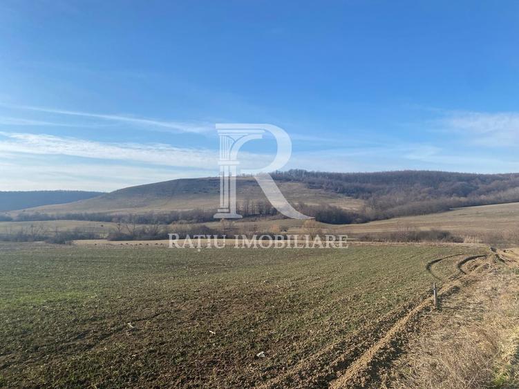 Teren agricol extravilan de 3900 mp, în Sud-Est