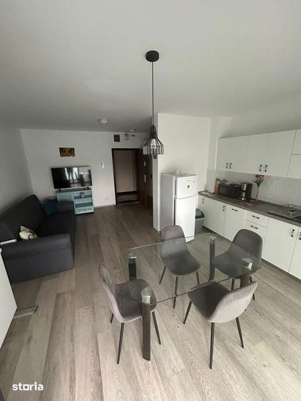 Apartament cu 2 camere în Nufărul