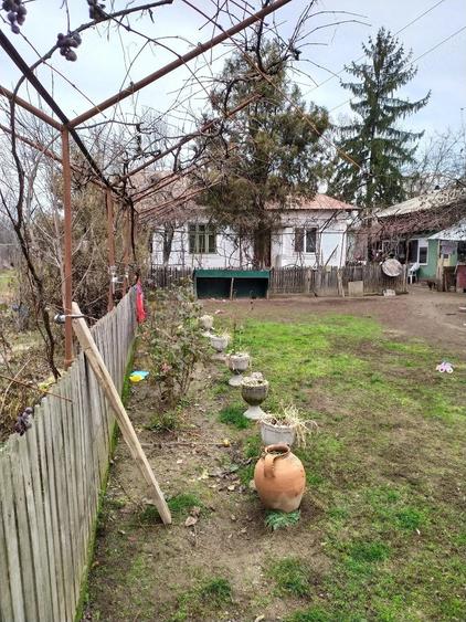 Teren de 3200 mp, în Urlueni