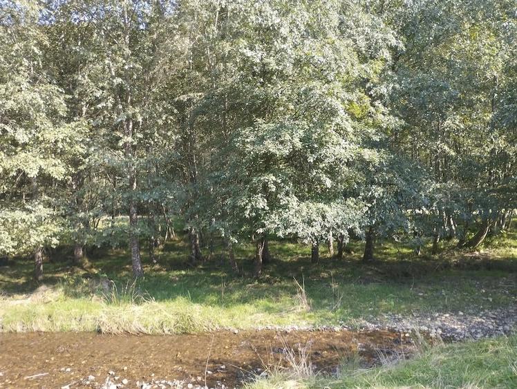 Vanzare teren - zona Plaiul Foii, Zarne?ti - 2