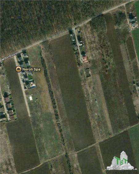 Teren Construcții intravilan de 1170 mp, în Tamași