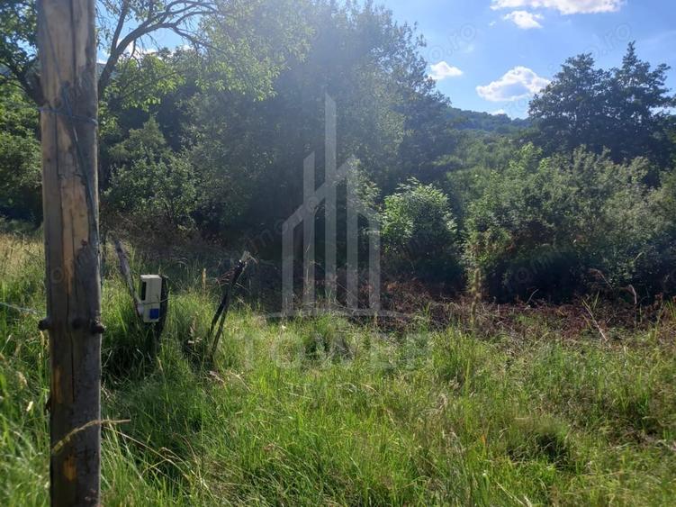 Teren de 3673 mp, în Fântânele