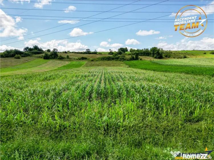 Teren în Sâncraiu