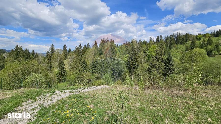 Teren 4048mp Campulung Moldovenesc, Strada Izvorul Alb, Suceava