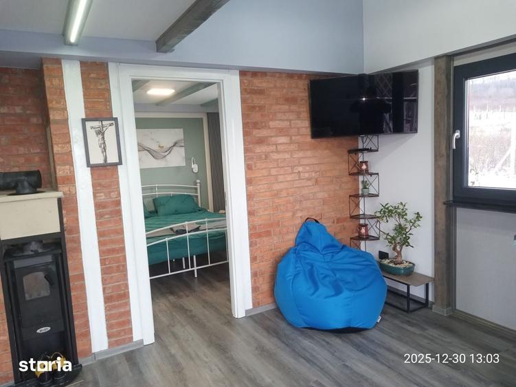 Cabana la munte. Casa de vacanta - 11