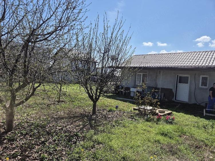 Teren de 380 mp, în Berceni