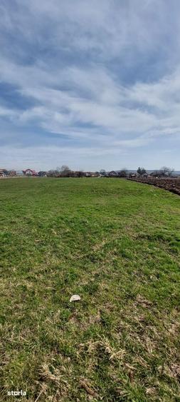 Teren de 7000 mp, în Mureșeni