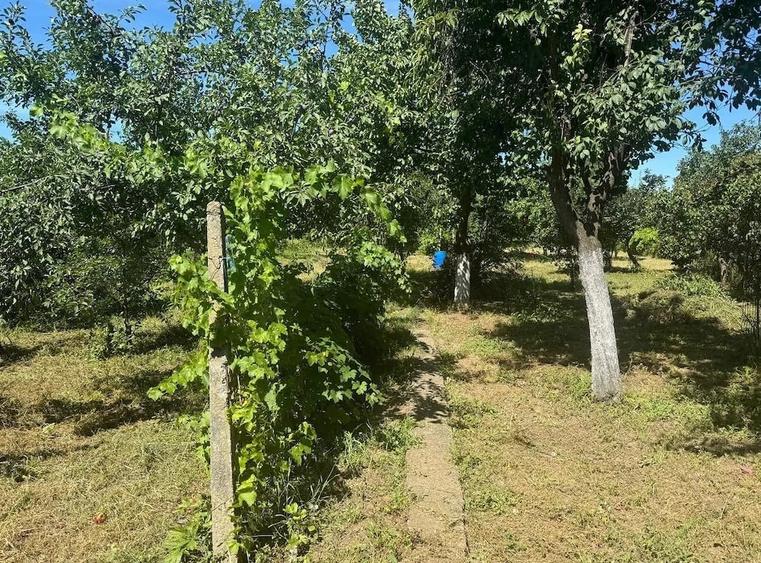 Casă cu 7 camere cu Teren 2156 Mp în Aradul Nou