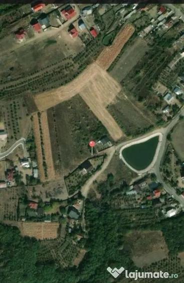 Teren în Albota