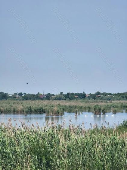Teren de 250000 mp, în Comana