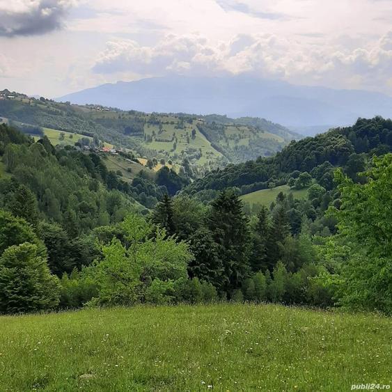 Teren de 7200 mp, în Peștera