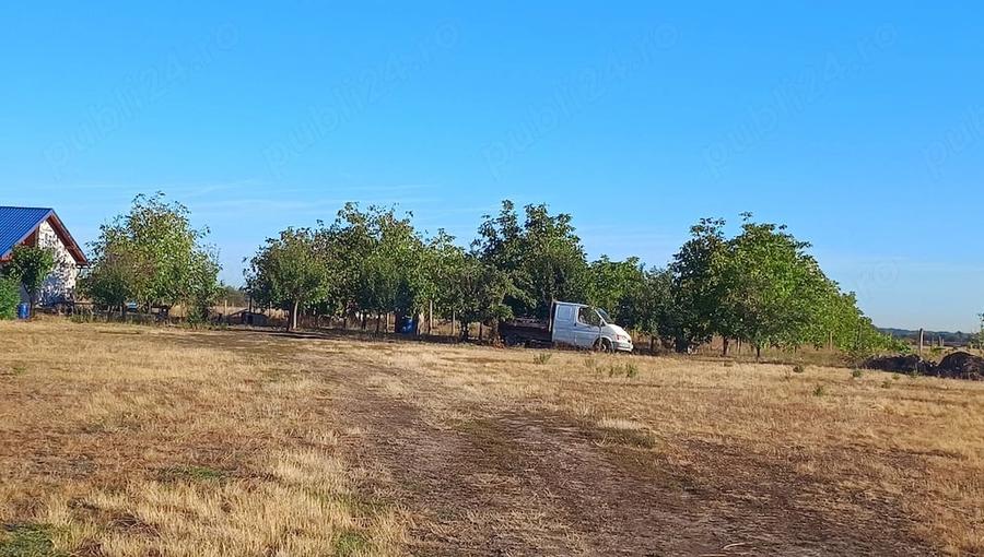 Teren de 2 mp, în Dragșina
