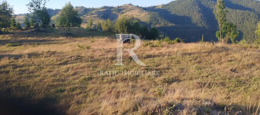Teren Construcții intravilan de 3000 mp, în Gârda de Sus