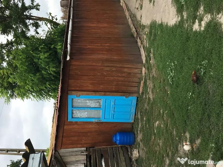 Casă cu 4 camere în Viișoara