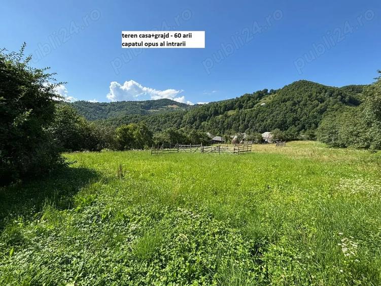 Teren de 35000 mp, în Parva