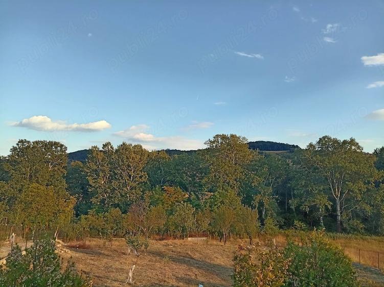 Teren de 1500 mp, în Malovăț