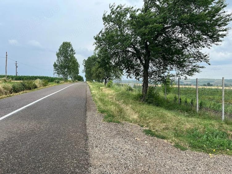 Teren de 1000 mp, în Ilișești
