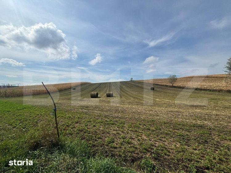 Teren de 7800 mp, în Burdujeni