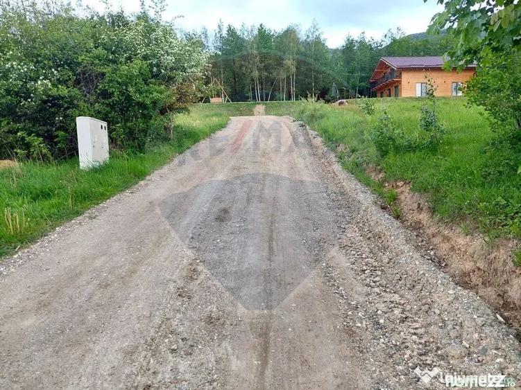 Teren în Tohănița