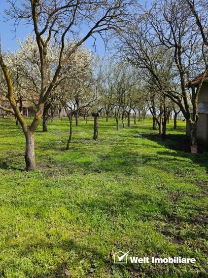 Casă individuală cu 3 camere cu Canalizare în Ceanu Mic