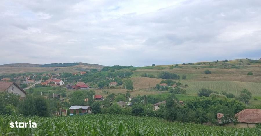 Casă cu 2 camere cu Teren 7000 Mp în Central