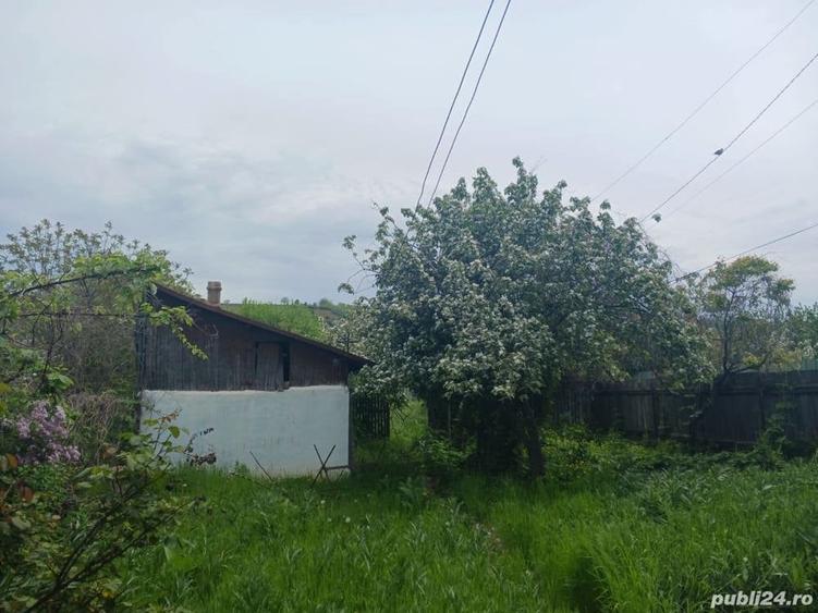 Casă cu 6 camere în Berești