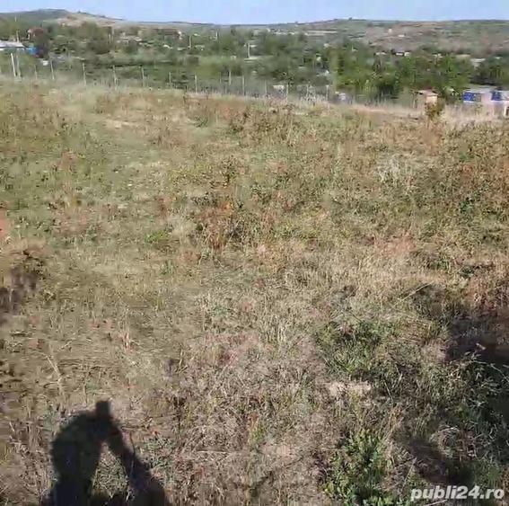 Teren în Goruni