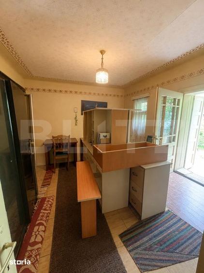 Casă cu 3 camere cu Teren 2000 Mp în Viișoara