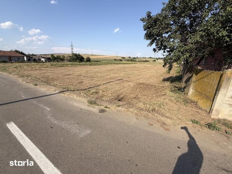 Teren Intravilan 764 Mp - Asfalt - Dudovicesti - Simnicul de sus - 3