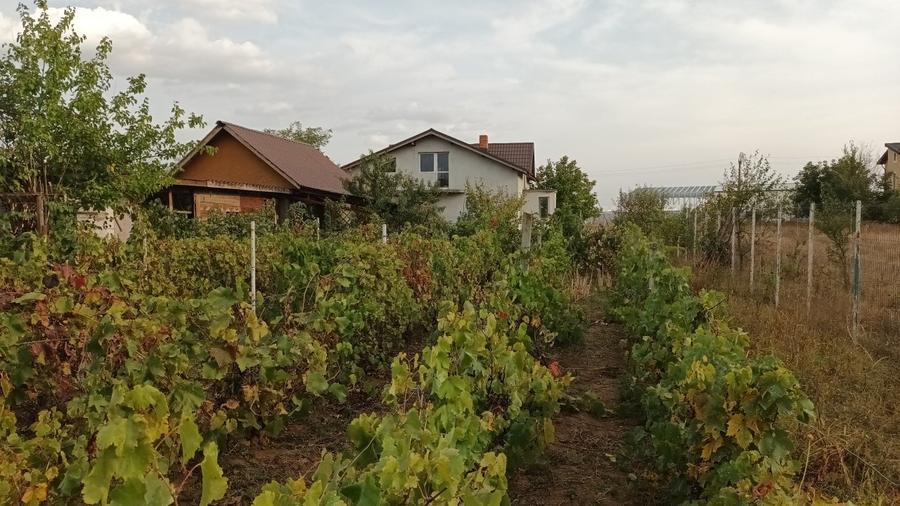 Casă individuală cu 3 camere cu Teren 4250 Mp în Moara Vlăsiei
