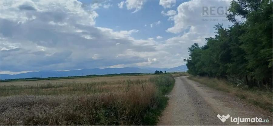 Teren în Hărman