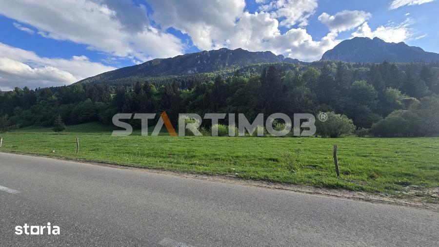 Teren de 7600 mp, în Plaiul Foii