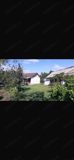 Casă cu Teren 2436 Mp în Cotu Ciorii